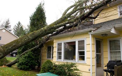 How to Identify Roof Damage After a Storm