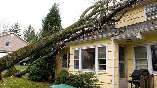 5 Steps to Take Immediately After Storm Damage to Your Home