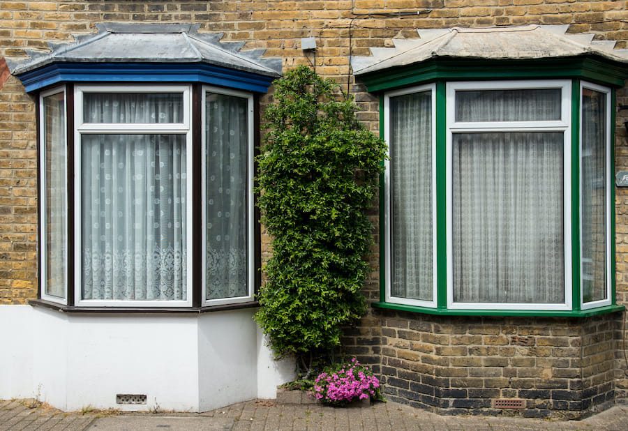 House Windows With Green Vine Growing in Brickwork 