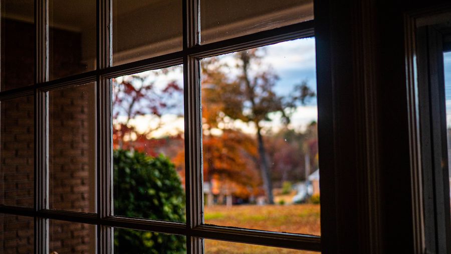Transparent glass window inside the home with a view of autumn trees and plants