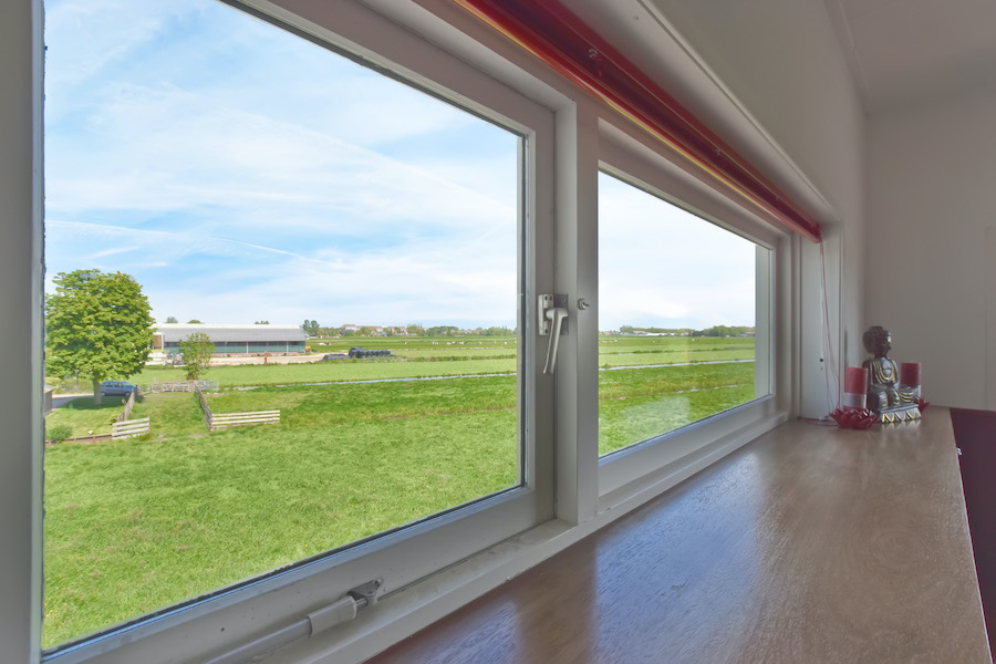 Scenic Pasture Views Through a Window on a Sunny Day