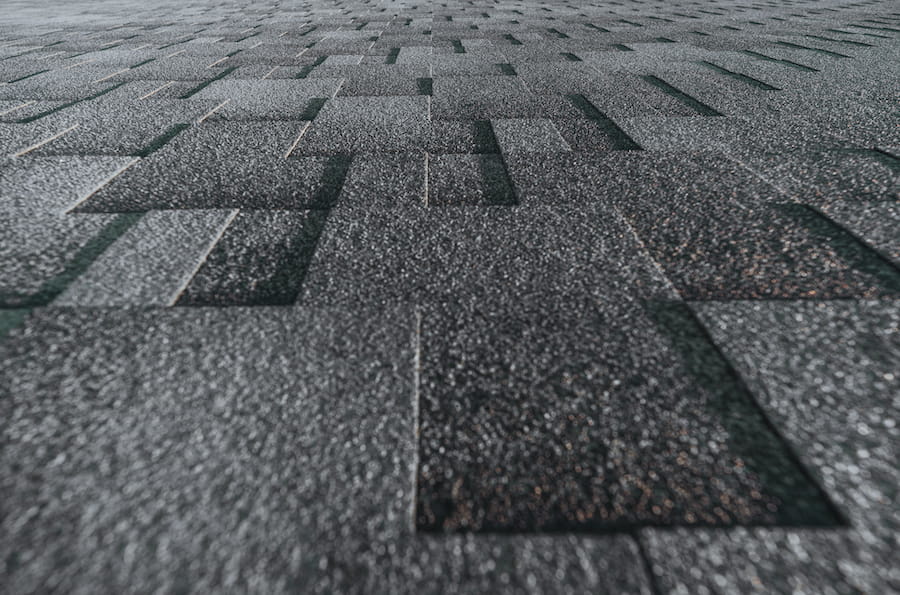Roof algae discoloration visible across asphalt shingles